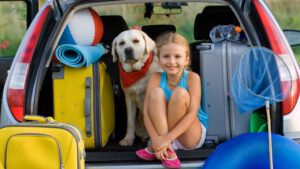 Property Owners Renting With Pets